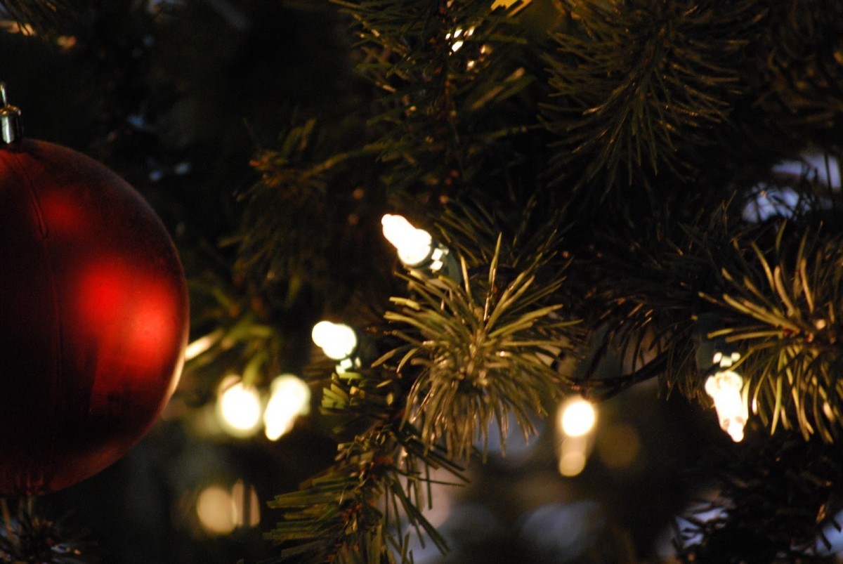 Lake Oswego’s 50th Holiday Tree Lighting Lucid